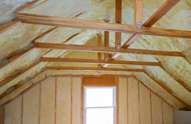 Best Geographic-Specific Insulation Services in Ravenna, NE