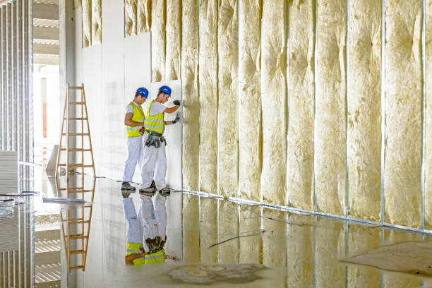 Best Blown-in Insulation in Ravenna, NE